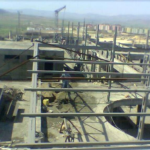 EntityCelik (14)