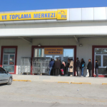 EntityCelik (9)